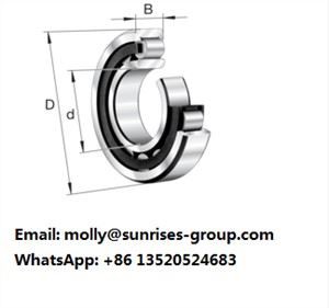 Rolamento de rolo cilíndrico NU1036-XL-M1A-P5-C4