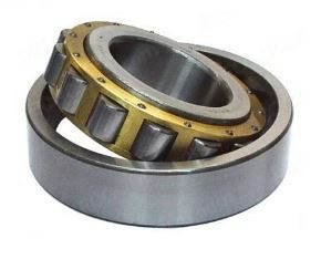 Rolamentos de rolo N1014-D-K-TVP-SP-XL